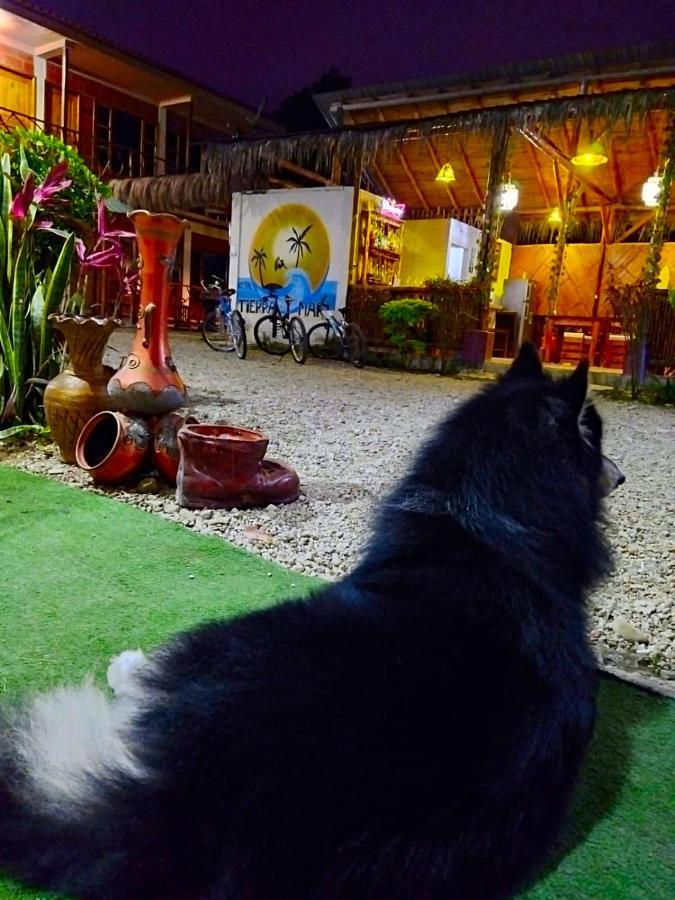 Hostal Tierra Y Mar มอนตาญิตาร์ ภายนอก รูปภาพ