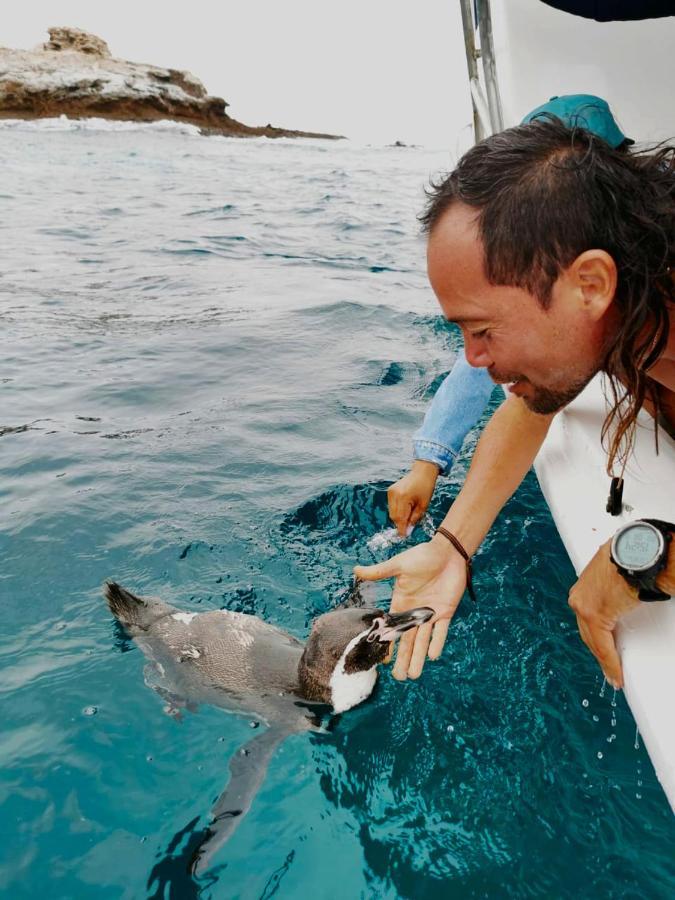 Hostal Tierra Y Mar มอนตาญิตาร์ ภายนอก รูปภาพ